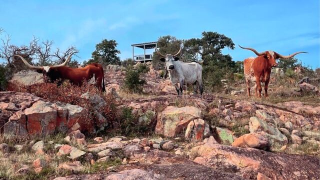 Big Buy Club Escapes to the Hill Country